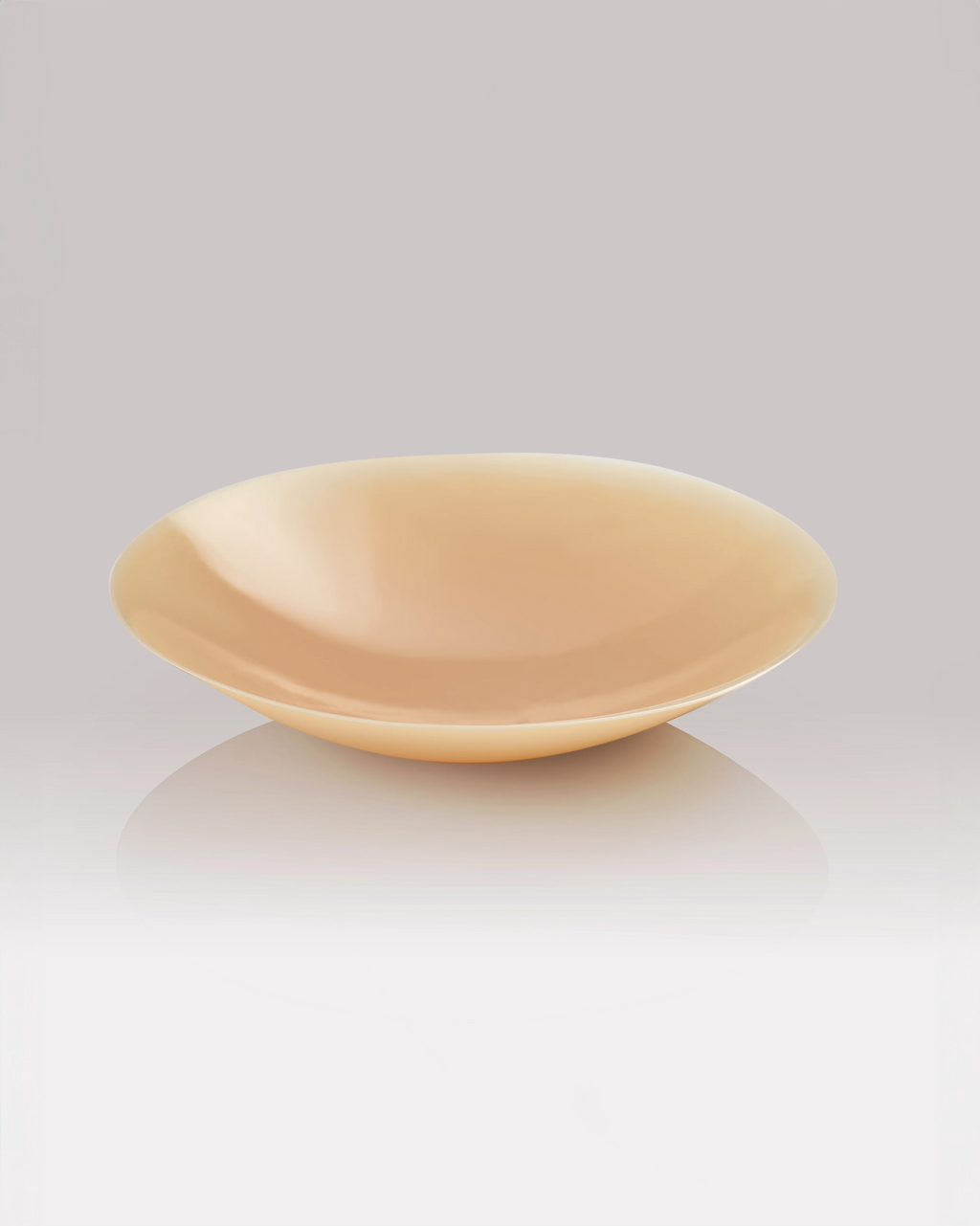 NIPS - CONCEAL