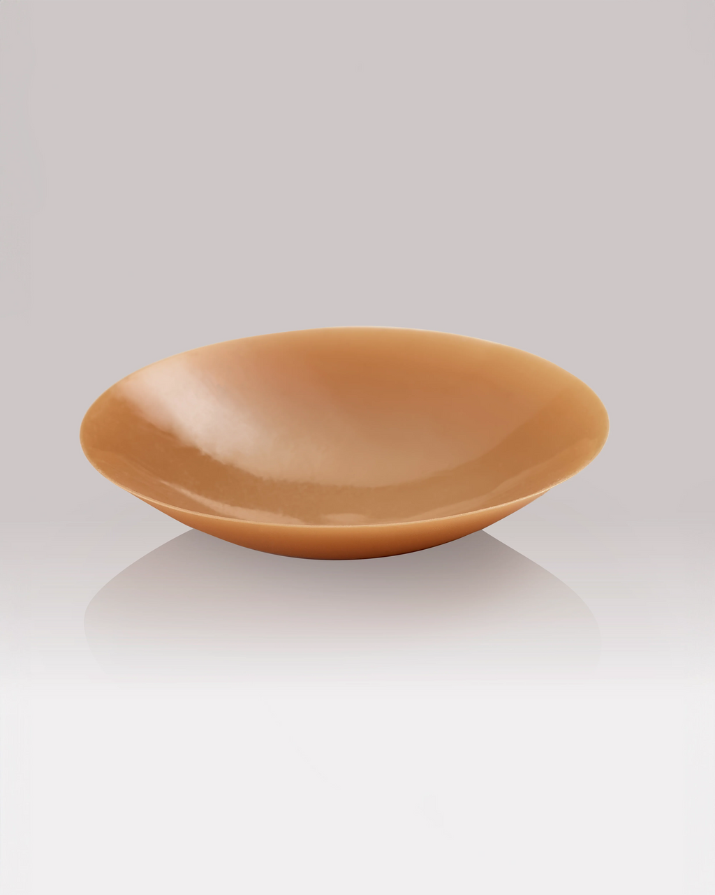 NIPS - CONCEAL