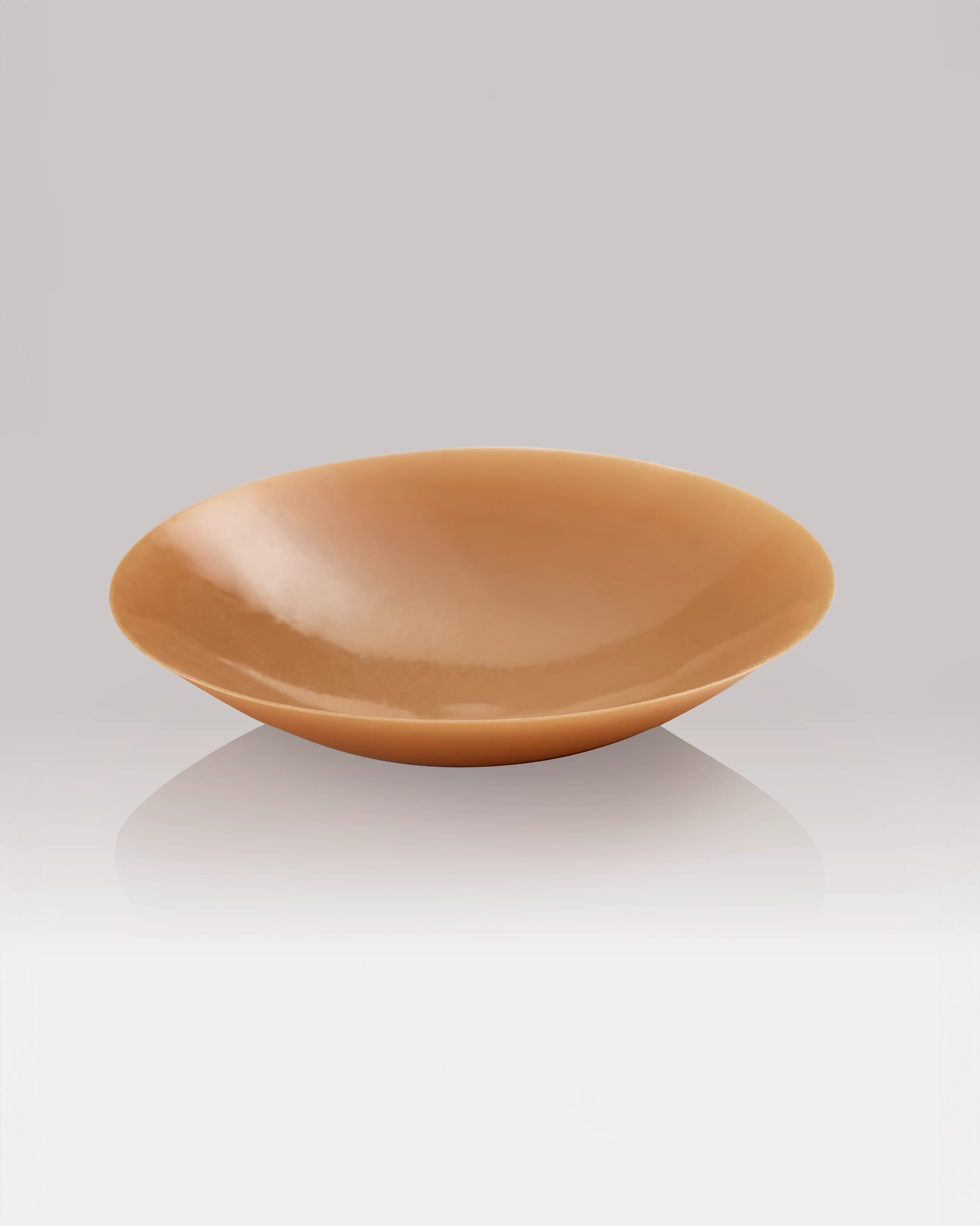 NIPS - CONCEAL